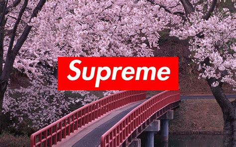 supreme wallpaper 1900x1200.